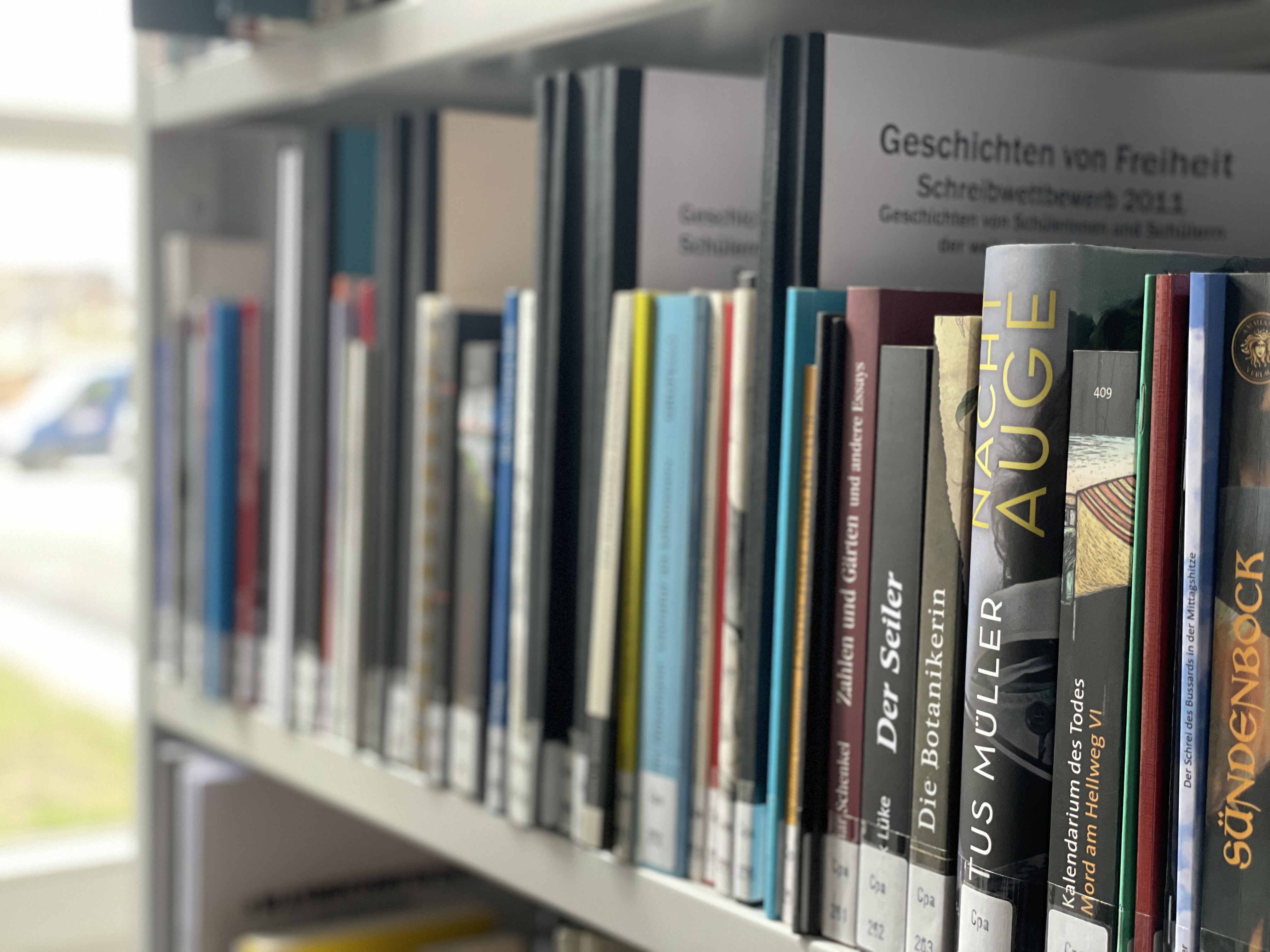 Bücher in der Bibliothek