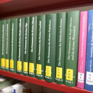 Ein Bücherregal mit mehreren grünen, blauen und einem pinken Buch. Auf den Buchrücken sind gelbe Aufkleber mit den jeweiligen Signaturen.