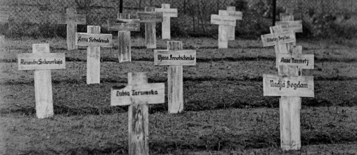 Gräber von Zwangsarbeiterinnen und Zwangarbeitern, auch Massengräber (wahrscheinlich in Köln) Fotografie einer Wiese mit Holzkreuzen
