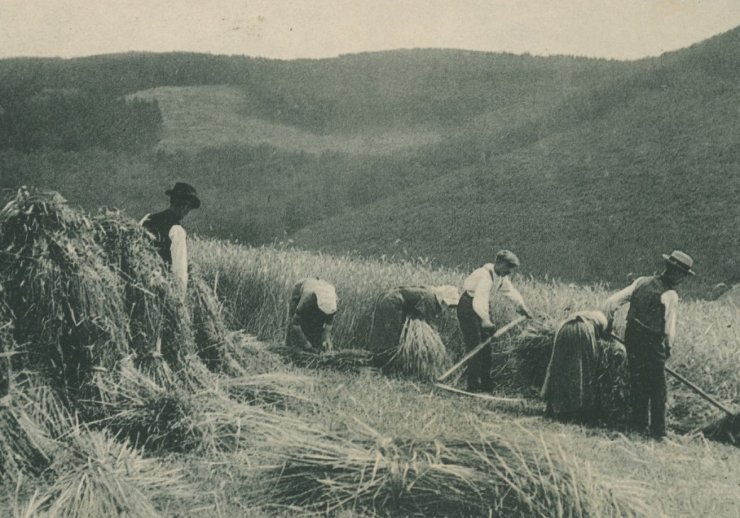 Erntebild aus dem Sauerland vor 1914