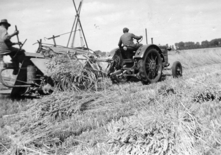 Feldarbeit in Vorst, zw. 1950/1960, D3-3 Nr. 4378