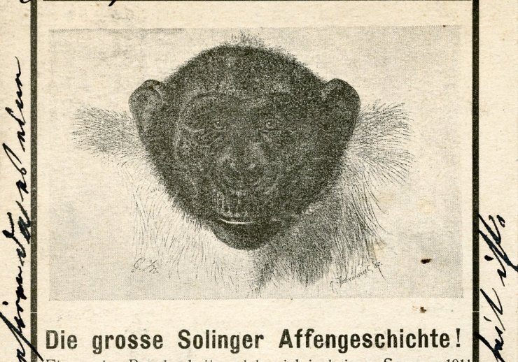 PK 1559