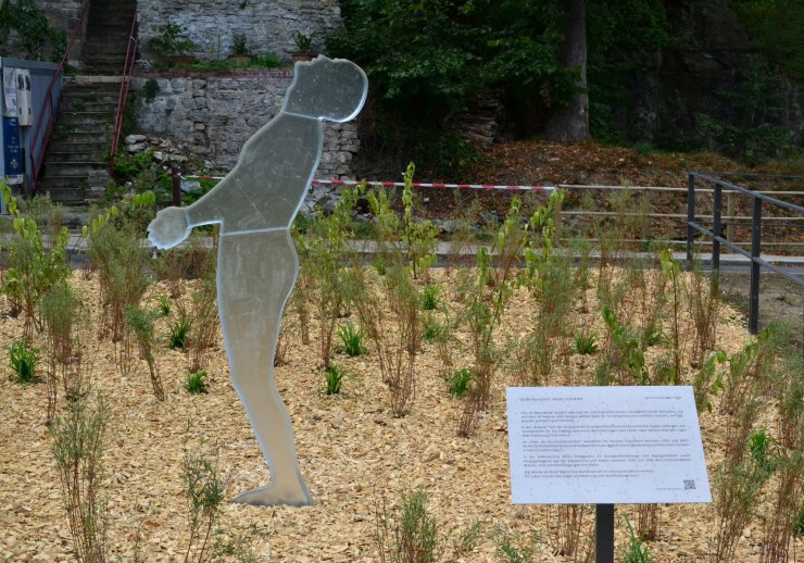 Gedenkzeichen "Heller Schatten" mit der Gedenktafel für die Opfer der NS-Diktatur im Neandertal